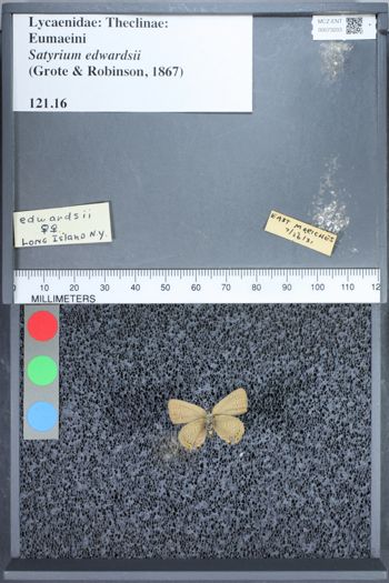 Media type: image;   Entomology 73203